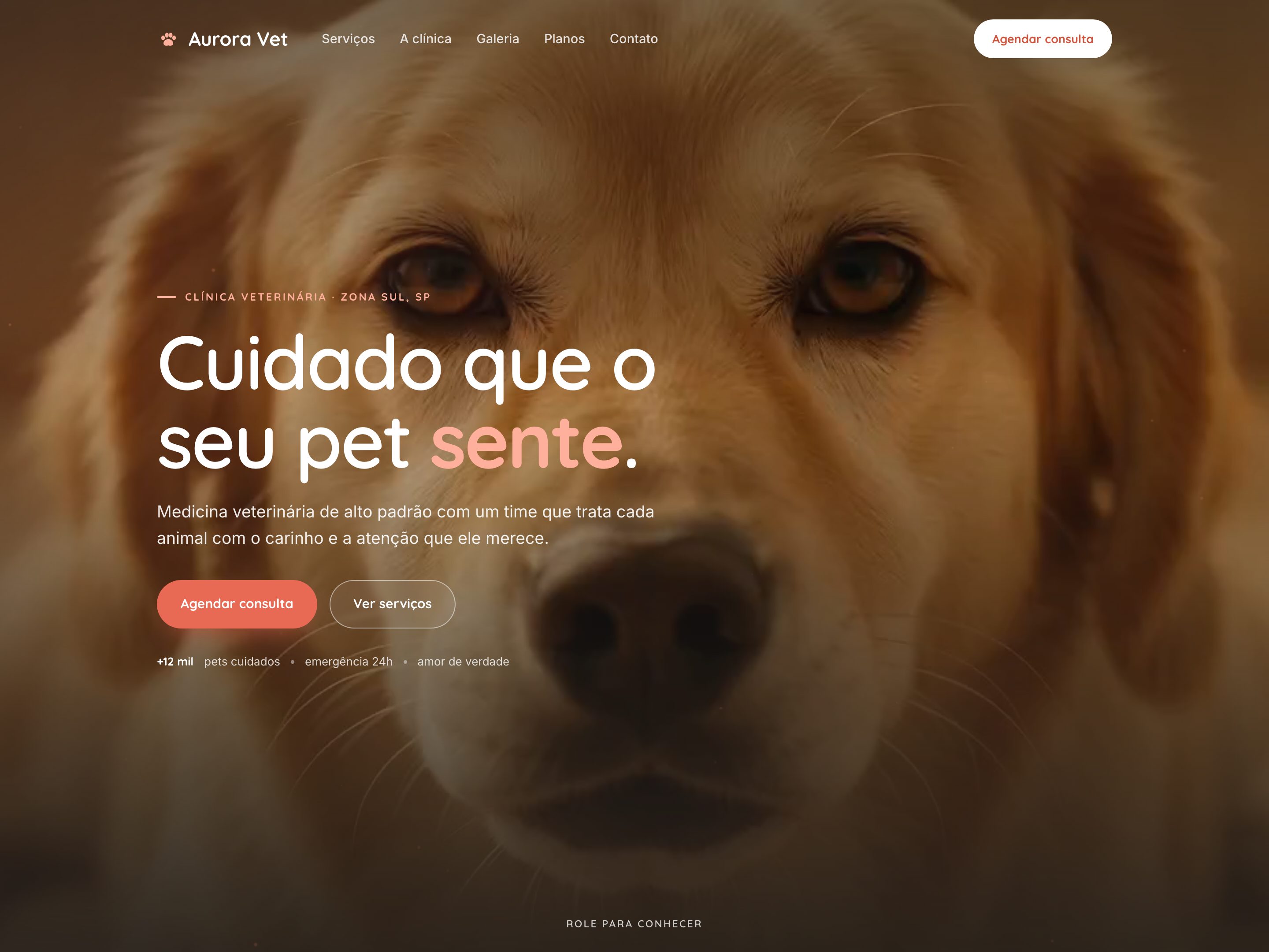Preview do template Clínica Veterinária